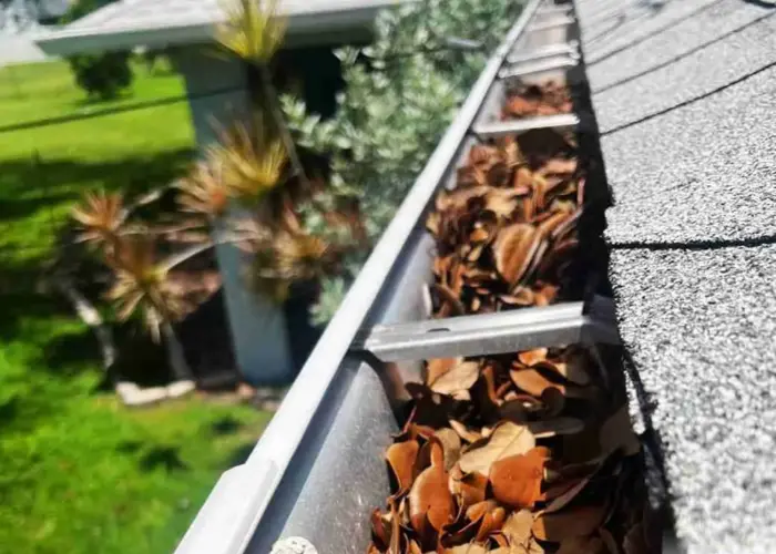 Delaware City gutter cleaning home page